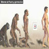 Funny funny pictures evolution incomplete