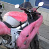 pink hairy motorbike especially for women