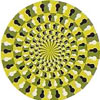 Do the spirals appear to be spinning