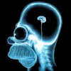 X-ray photograph of Homers head