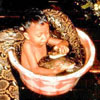 kid is having bath with dangerous anaconda
