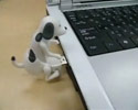 this dog will fuck with your computer