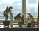 Animal Cleaning Service