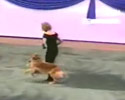 Well Trained Dog