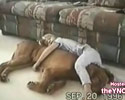 Just Sweet Sleeping