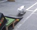 Skateboarind Champion