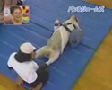Monkey and Dog
