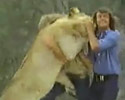 Lion Loves Fun