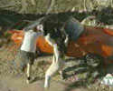 Helping Hand