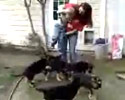 Attacking Dogs