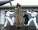 Master Moses 35 Bricks