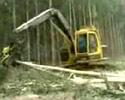 Tree Chopper