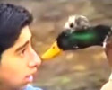 Cheeky Animals