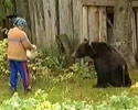 angry bear attacks lady who feeds it