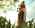 bunch of insects steal bottle of coca cola