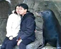 Sea Lion in Love