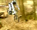 Biker vs Tree