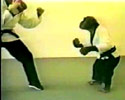 Karate Monkey