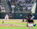Baseball Bird Hit