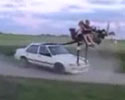 a group of dumb guys having fun with their car.