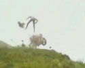 Bike Wipeout