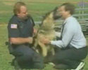 the dog lay into this guys face. Awful video clip.