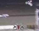 Huge Bike Jump