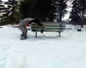Snow Bench