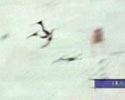 Ski Fall