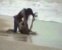 two girls fist fighting on the beach, guys just watch