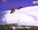 Snow Roof Fall