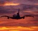 Live Airplane