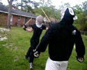 Stick Fighting