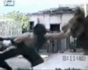 huge lion gone mad and attacks man. Shocking videos