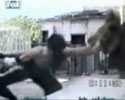 Dangerous Lion