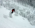 Jumping Into Snow
