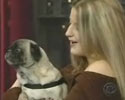 Talking Doggie