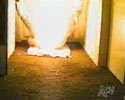Ass in Fire