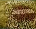 The Best Beer Commercial