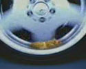 Fast Hamster
