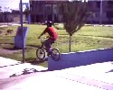 newbie biker tries to do his first tricks and stunts