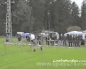 Tree Throwg Gone Bad