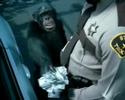 clever monkey can save you from being fined