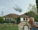 Butterfly Trouble