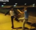 Another Cat Fight