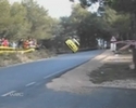 this guys life was saved by the tree next to road