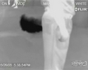 farting captured on IR camera. Is it real or fake