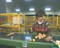 First day at Work