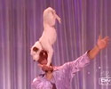 Dog Show