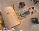Run Over Body